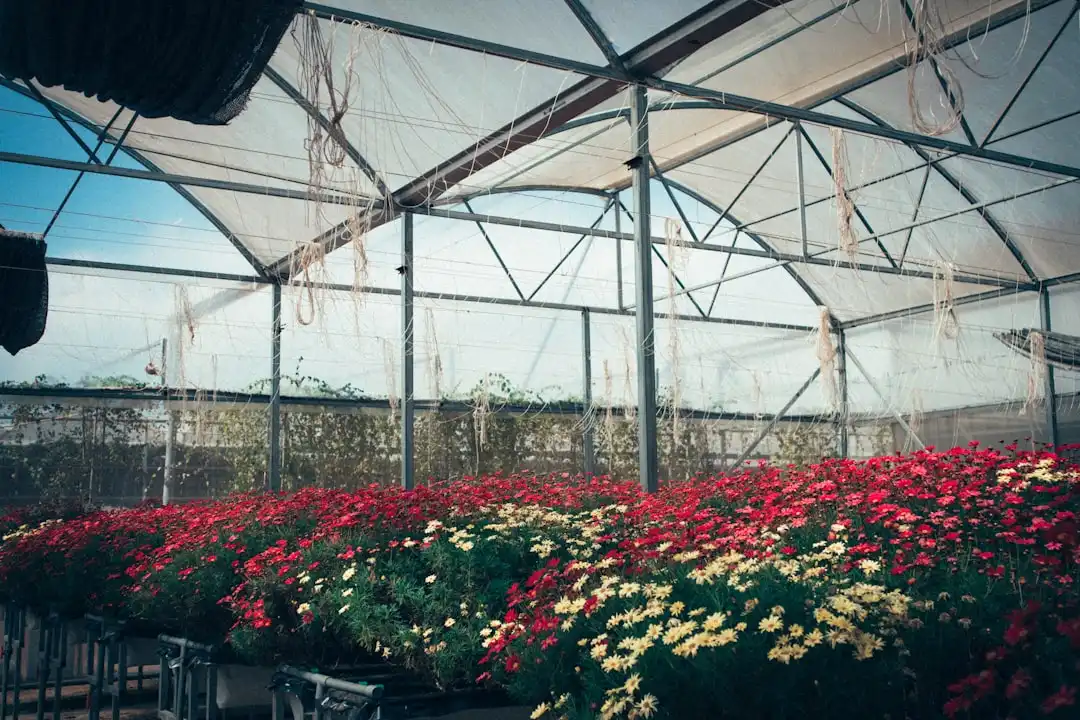 传统腊味加工工艺现代化改造的技术路径与实践