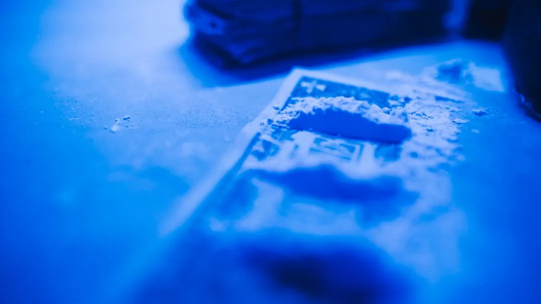 腊味加工中传统风味与品质管控的平衡实践解析