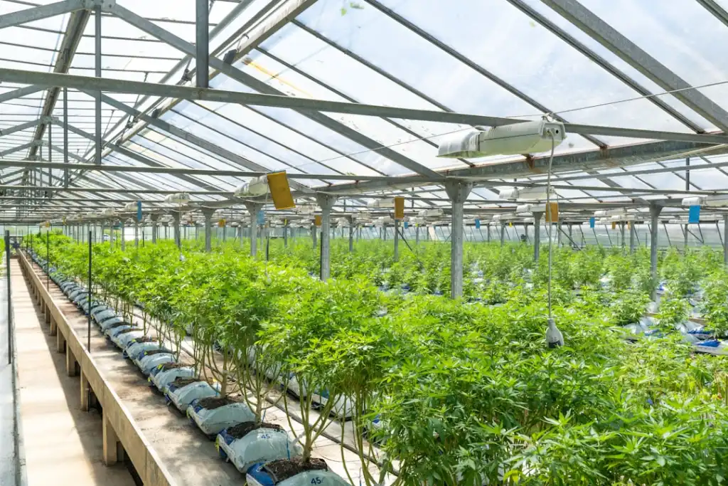 重庆海鎏食品腊味加工工艺中的质量管控关键点分析